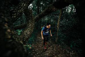 BIB: 
                            <button type="button" onclick="openModal(25686939)" class="btn btn-primary btn-sm float-right btn-popup" data-toggle="modal" data-target=".modal-high-quality">
                        <i class="fas fa-shopping-cart"></i> Add to Cart
                    </button>
                                            <button type="button" onclick="isThisMe(25686939, true)" class="btn btn-success btn-sm float-right btn-popup btn-isme hidden" data-toggle="tooltip" data-placement="bottom" title="นี่คือรูปของคุณใช่ไหม คลิกที่นี่เพื่อเอาเข้าอัลบั้ม">
                        <i class="fas fa-plus"></i> Add to album
                    </button>
                    <button type="button" onclick="isThisMe(25686939, false)" class="btn btn-warning btn-sm float-right btn-popup btn-isnotme hidden">
                        <i class="fas fa-ban"></i> Remove from album
                    </button>